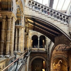 Natural history museum inside London