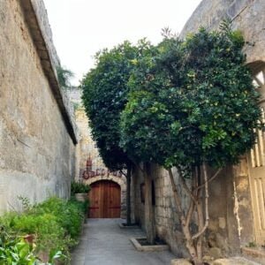 random trees gates in a street in mdina malta