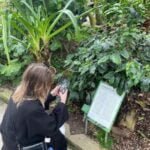 A girl taking a picture of a plant in Botanical Garden in Copenhagen